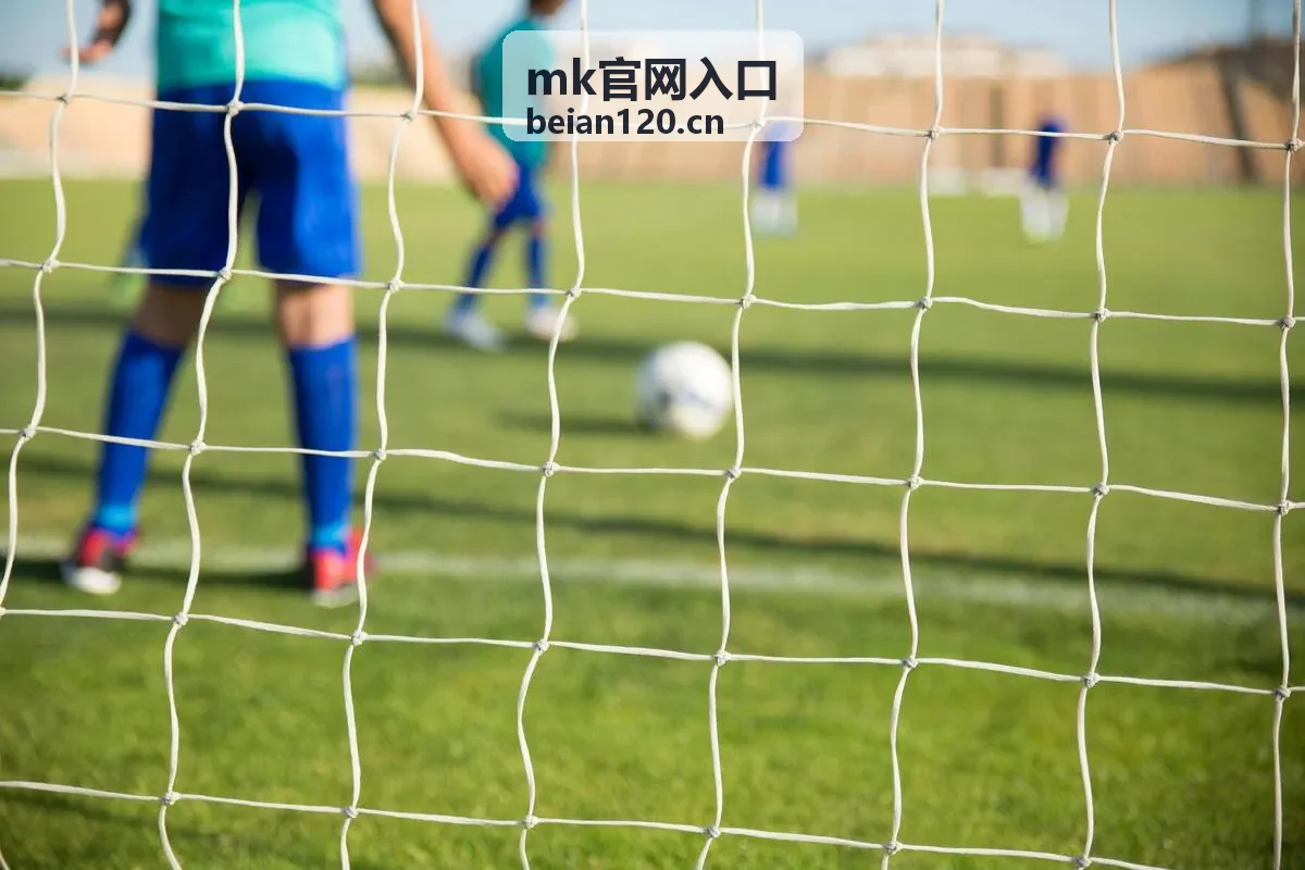 mk官网入口会员资源读取权限说明